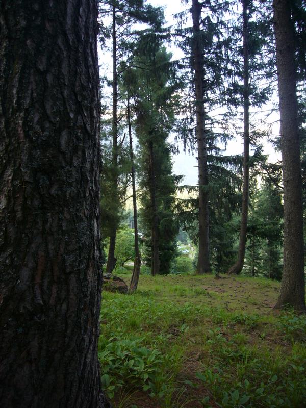 Travel - India - Kashmir - Pahalgam - Around Bentes Lodge